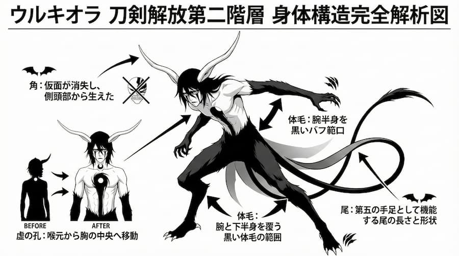 ウルキオラ第二階層・身体構造完全解析図