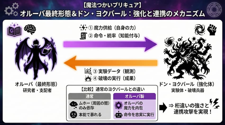 オルーバ最終形態＆ドン・ヨクパール：強化と連携のメカニズムの図解