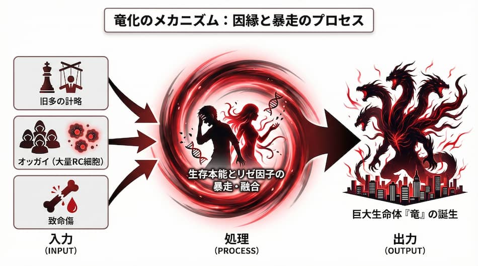 竜化のメカニズム：因縁と暴走のプロセスの図解